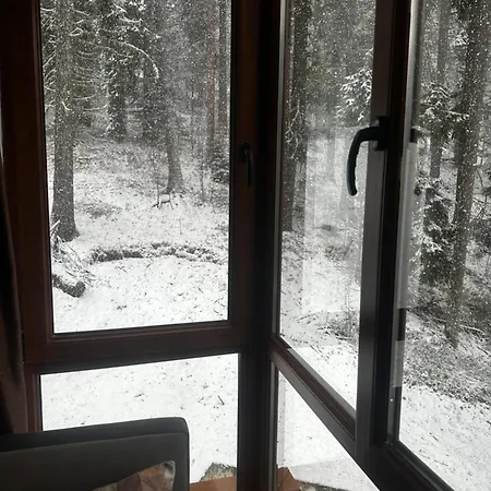 Apartman Winter Lotos