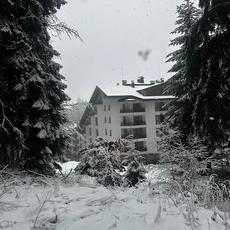 Winter Lotos Апартамент